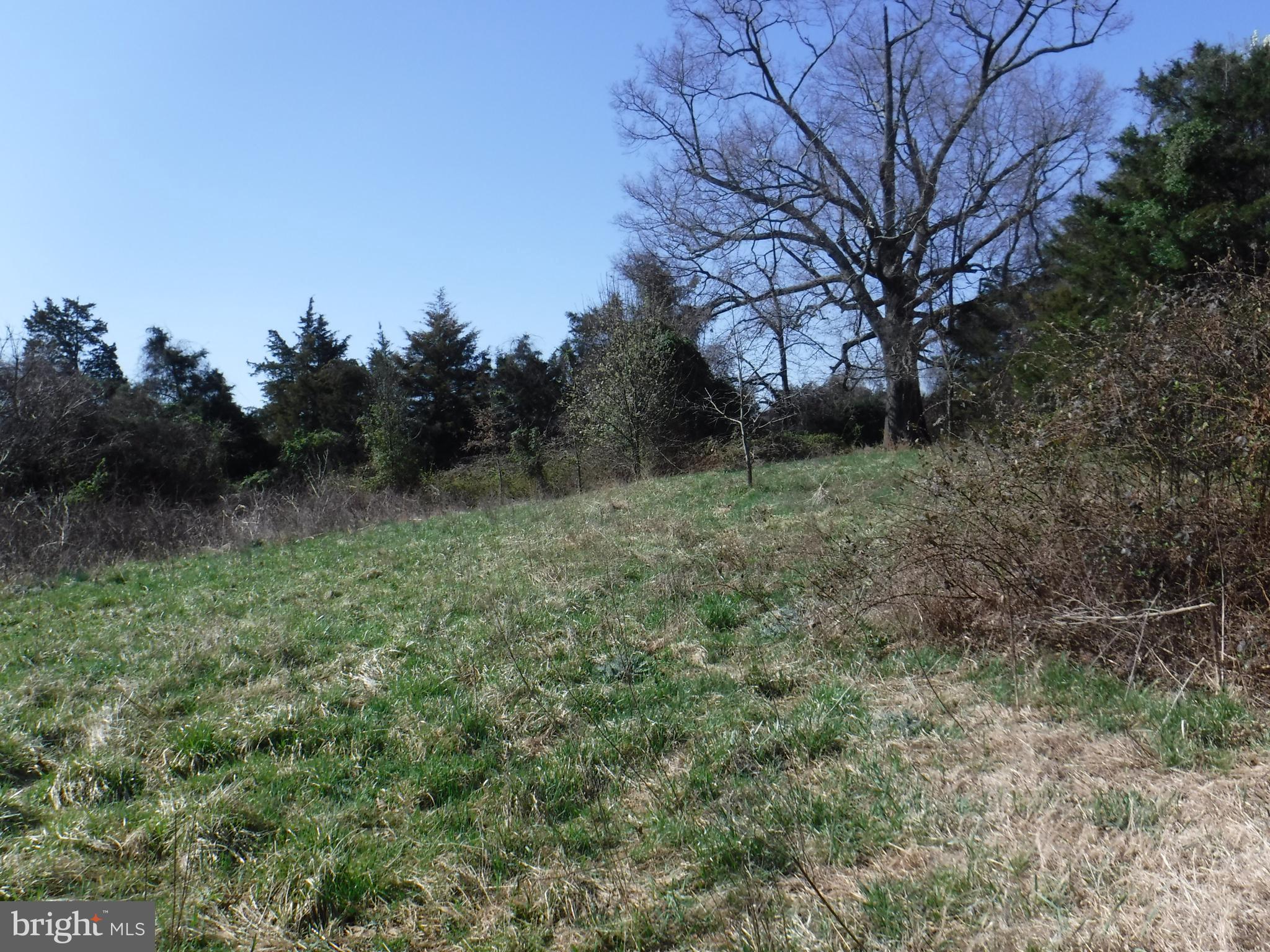 7285 Opal Road Warrenton, VA 20186 - Photo 14 of 31