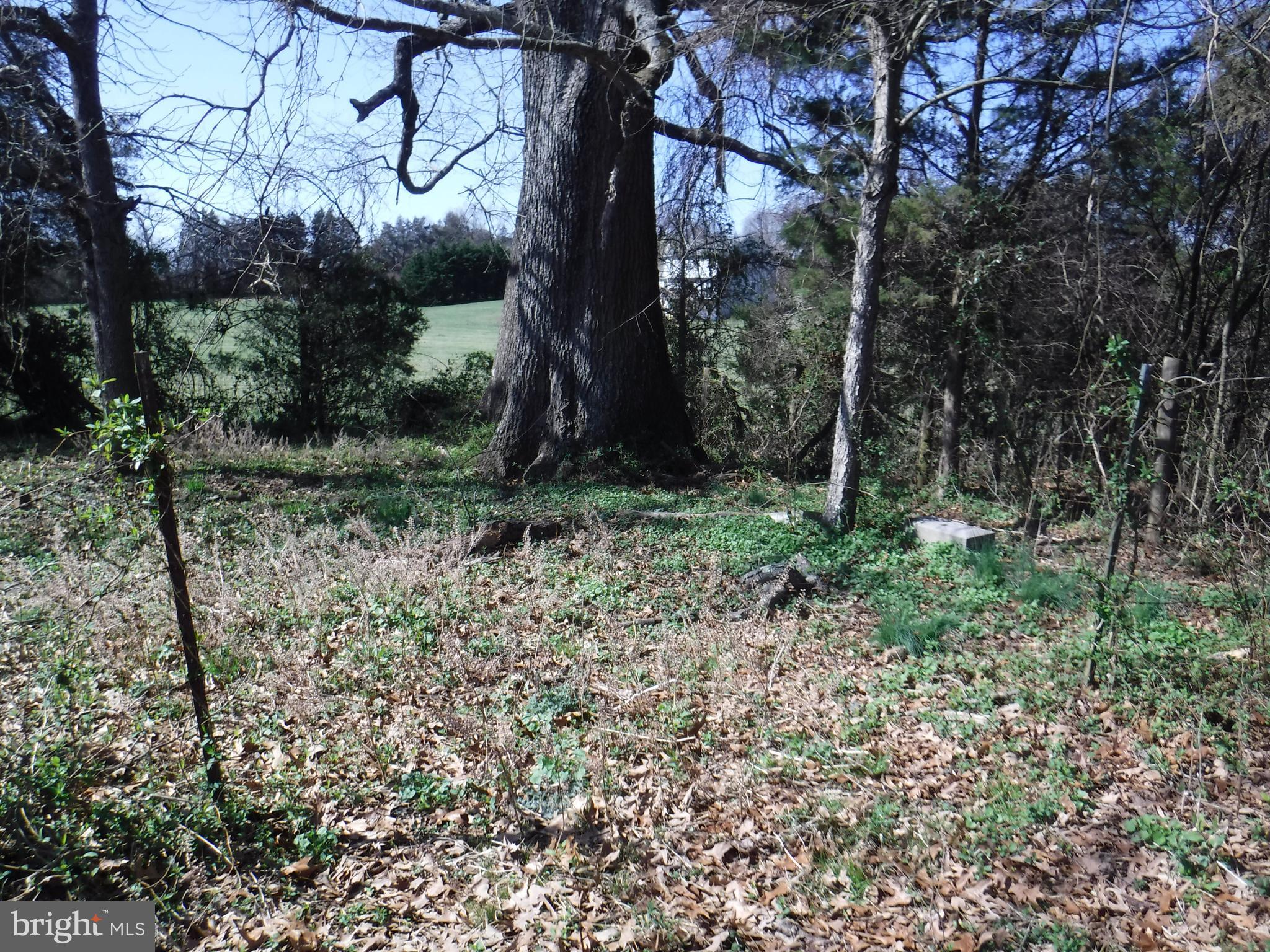 7285 Opal Road Warrenton, VA 20186 - Photo 15 of 31