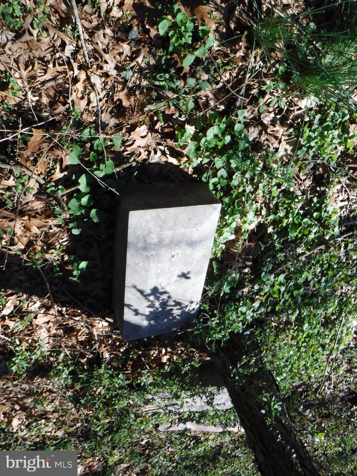 7285 Opal Road Warrenton, VA 20186 - Photo 16 of 31