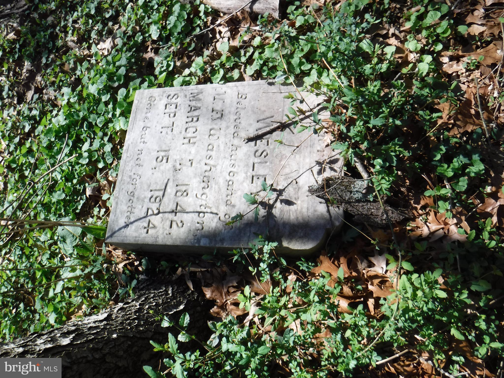 7285 Opal Road Warrenton, VA 20186 - Photo 17 of 31