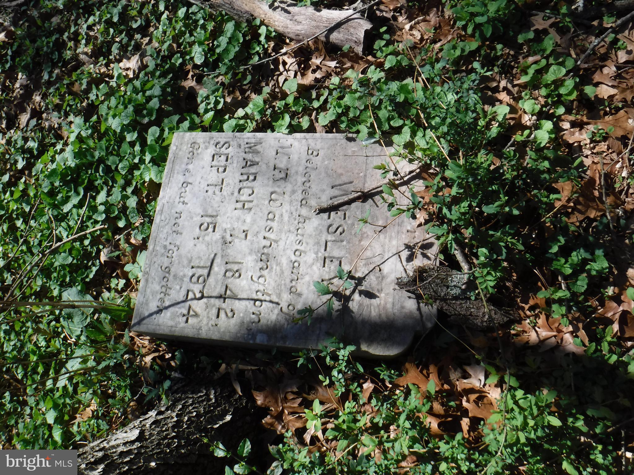 7285 Opal Road Warrenton, VA 20186 - Photo 18 of 31