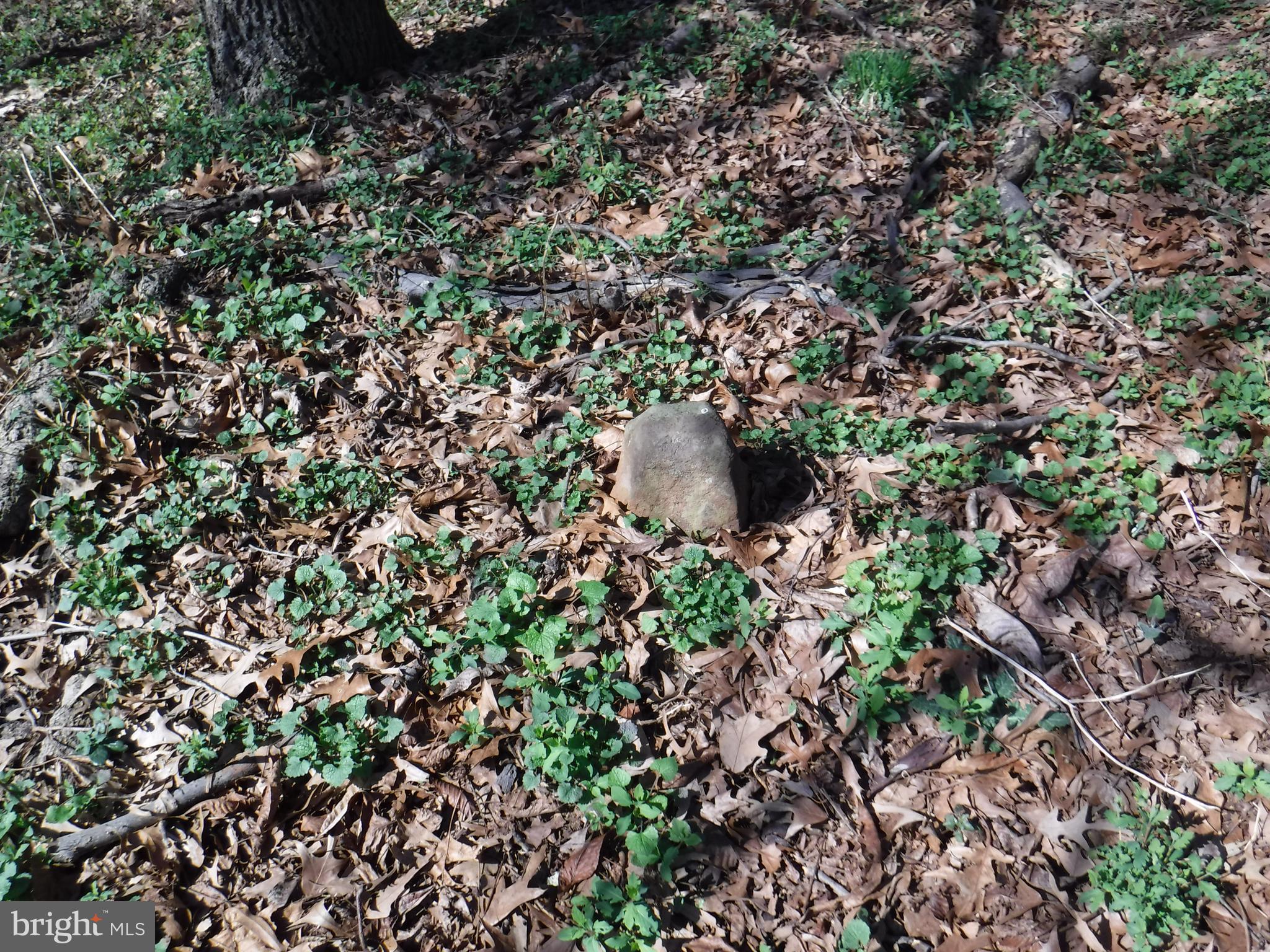 7285 Opal Road Warrenton, VA 20186 - Photo 20 of 31