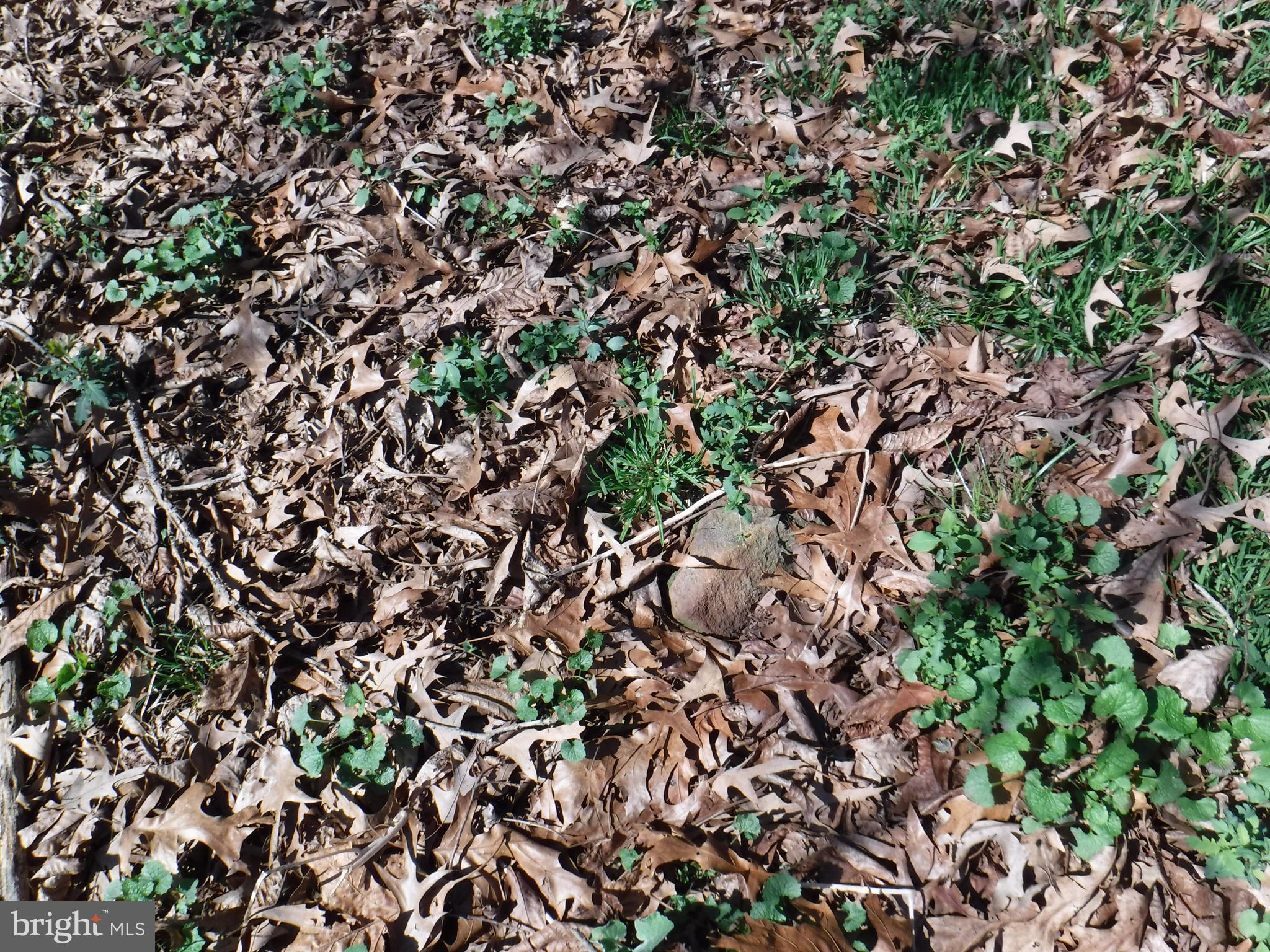 7285 Opal Road Warrenton, VA 20186 - Photo 21 of 31