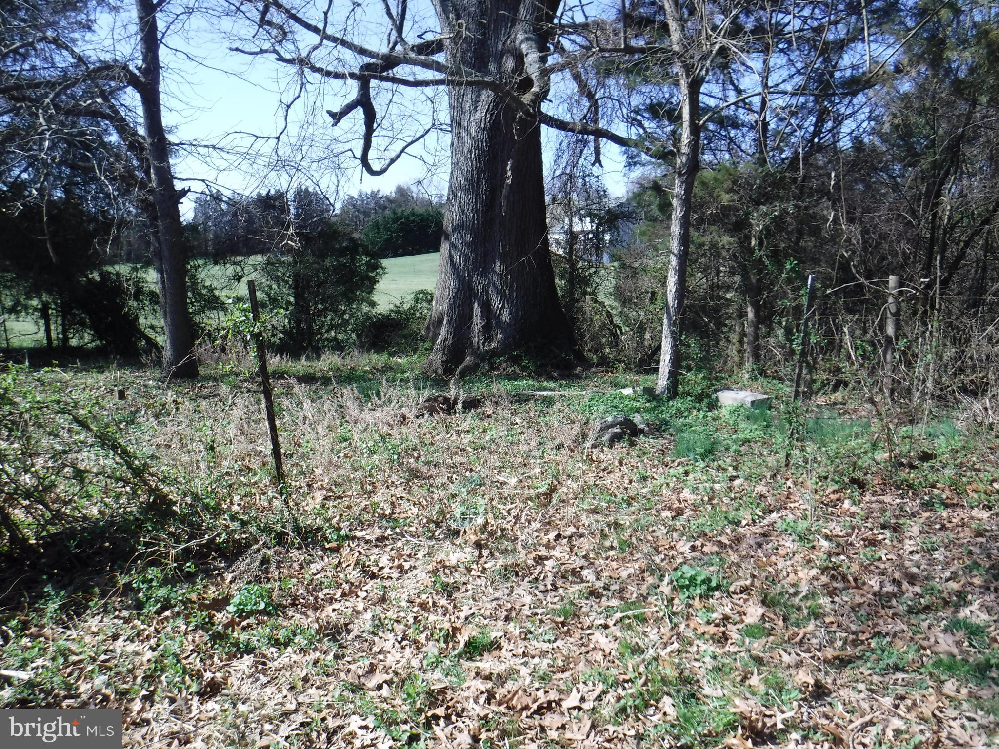 7285 Opal Road Warrenton, VA 20186 - Photo 22 of 31