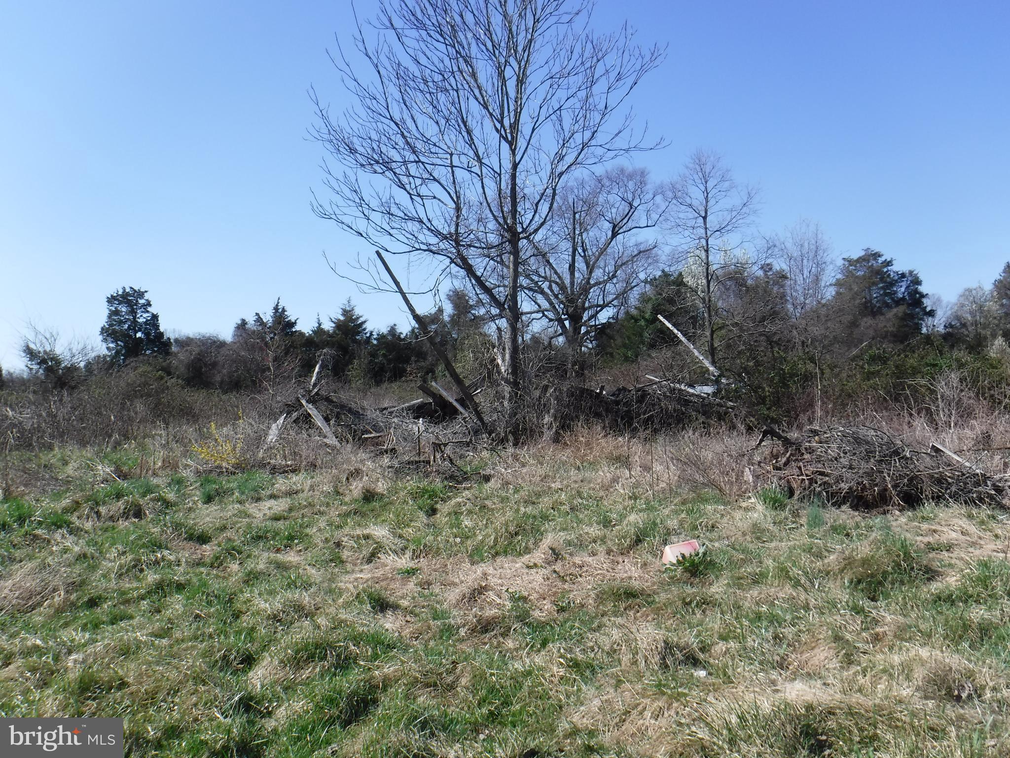 7285 Opal Road Warrenton, VA 20186 - Photo 10 of 31