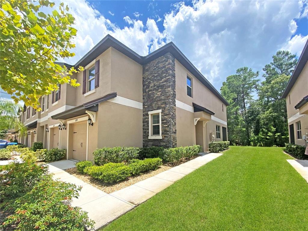 11732 Castine Street New Port Richey, FL 34654 - Photo 1 of 1 Gallery Image 1