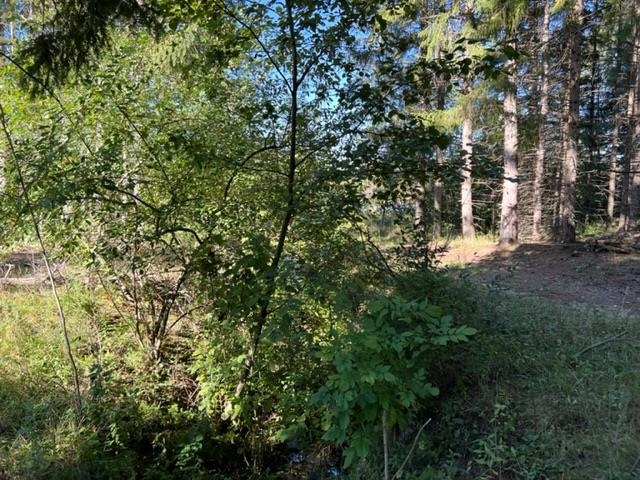 00 North 39th Road Lake City, MI 49651 - Photo 7 of 14