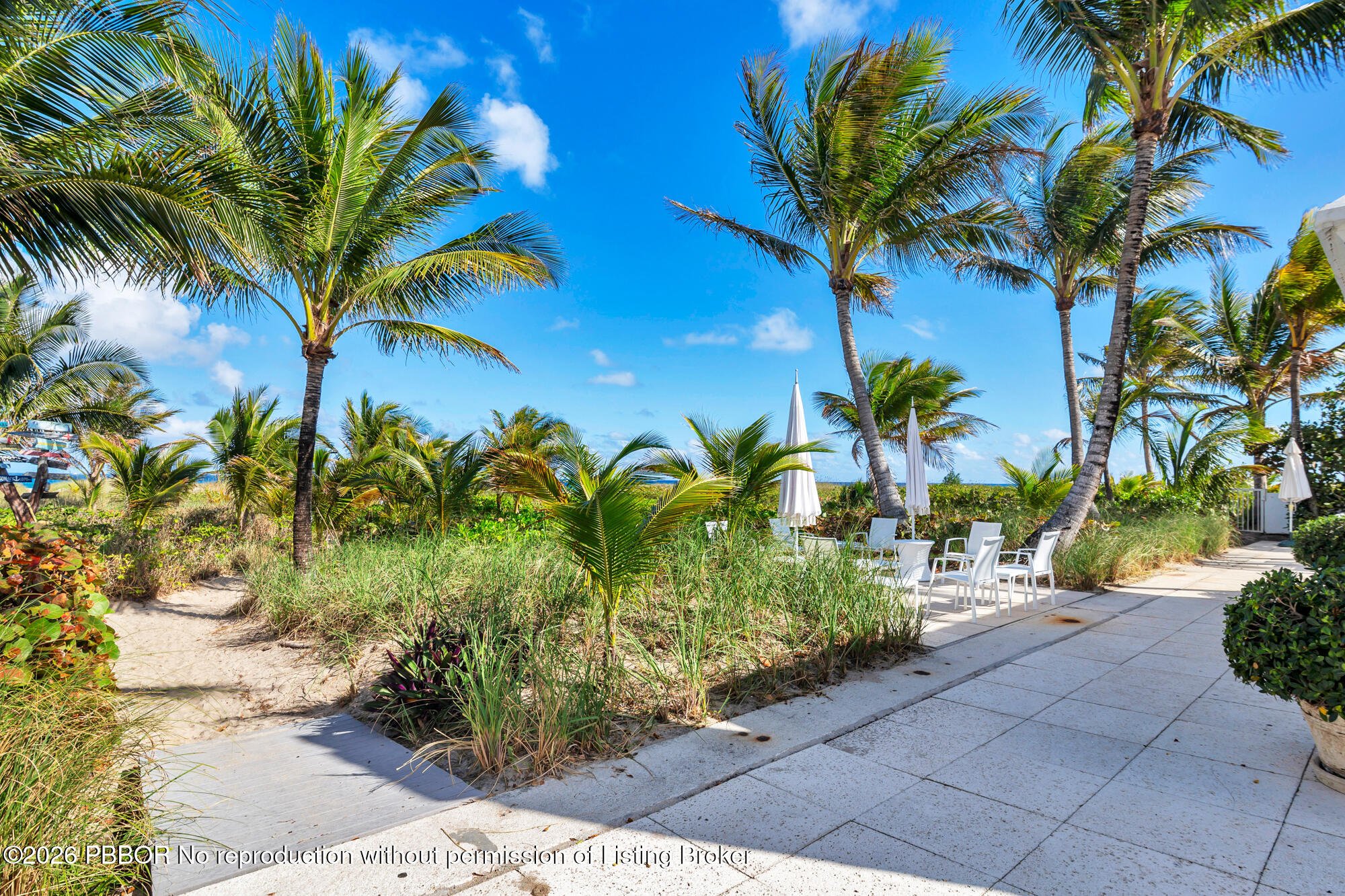 111 Seagate Road Palm Beach, FL 33480 - Photo 32 of 35 a plant in a yard