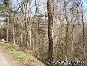 A Hickory Forest Road Fairview, NC 28730 - Photo 3 of 12 Gallery Image 3