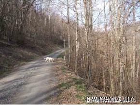 A Hickory Forest Road Fairview, NC 28730 - Photo 4 of 12 Gallery Image 4