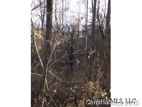 A Hickory Forest Road Fairview, NC 28730 - Photo 5 of 12 Gallery Image 5