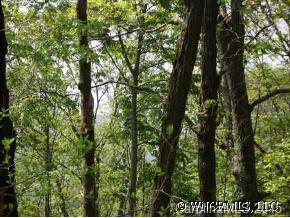 A Hickory Forest Road Fairview, NC 28730 - Photo 8 of 12 Gallery Image 8