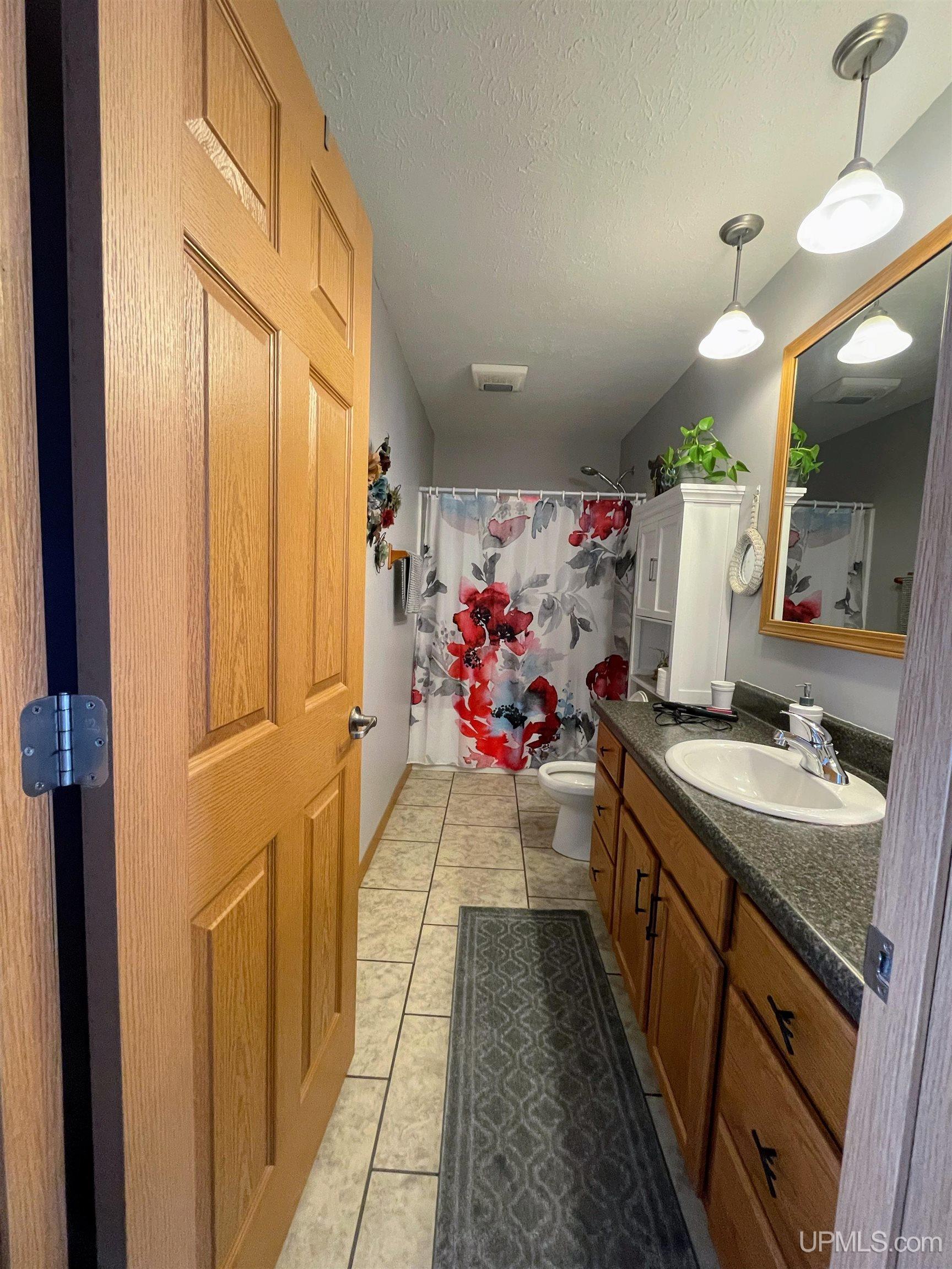 32399 West Piatt Lake Road Eckerman, MI 49728 - Photo 36 of 49