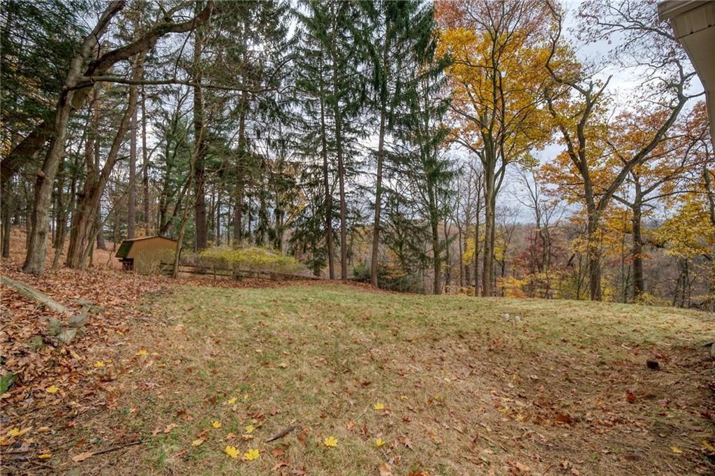 3454 Evergreen Road Pittsburgh, PA 15237 - Photo 23 of 25 a view of dirt yard with a tree