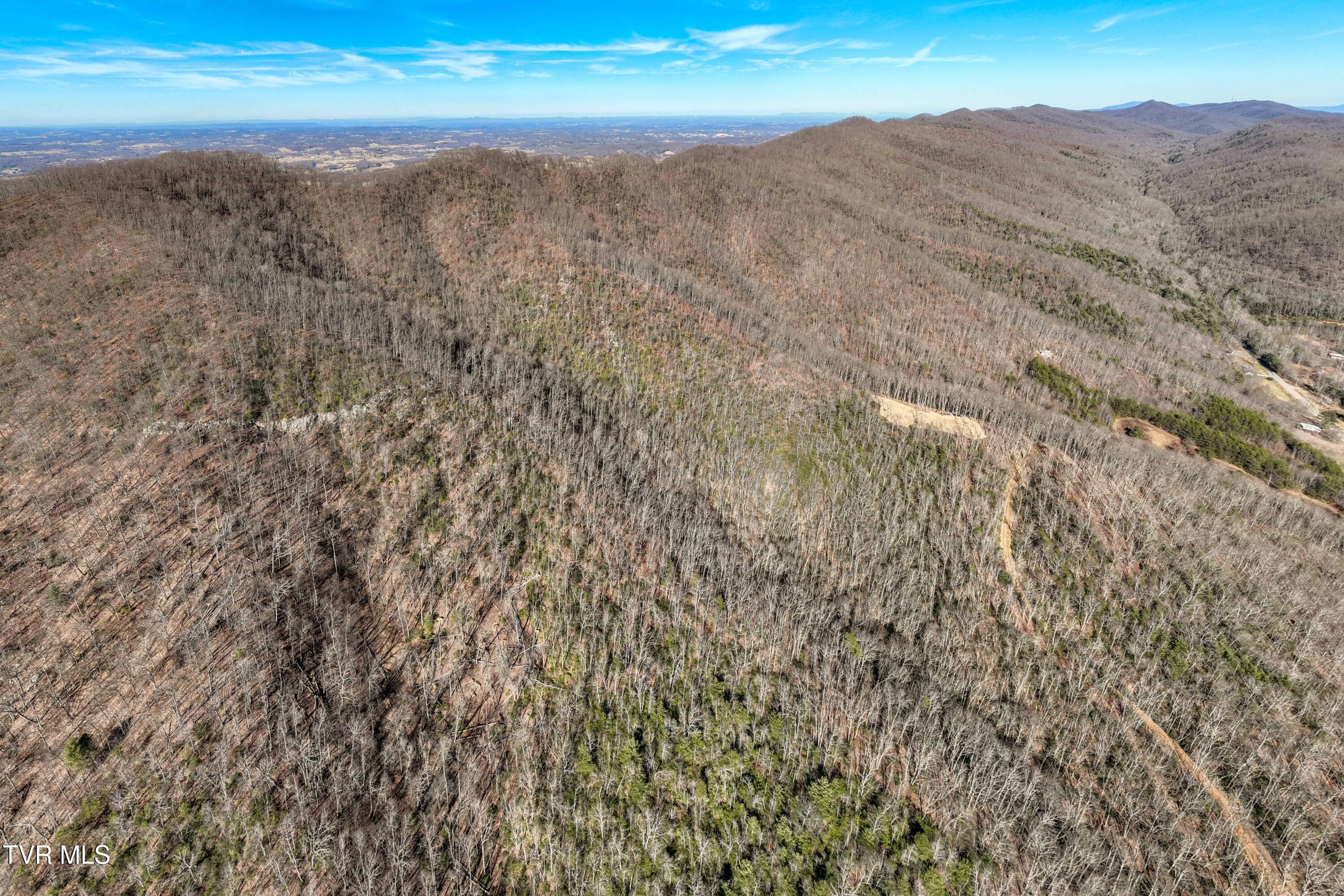 Tbd Buchanan Road Jonesborough, TN 37659 - Photo 15 of 28 TBD Buchanan Rd (15 of 28)