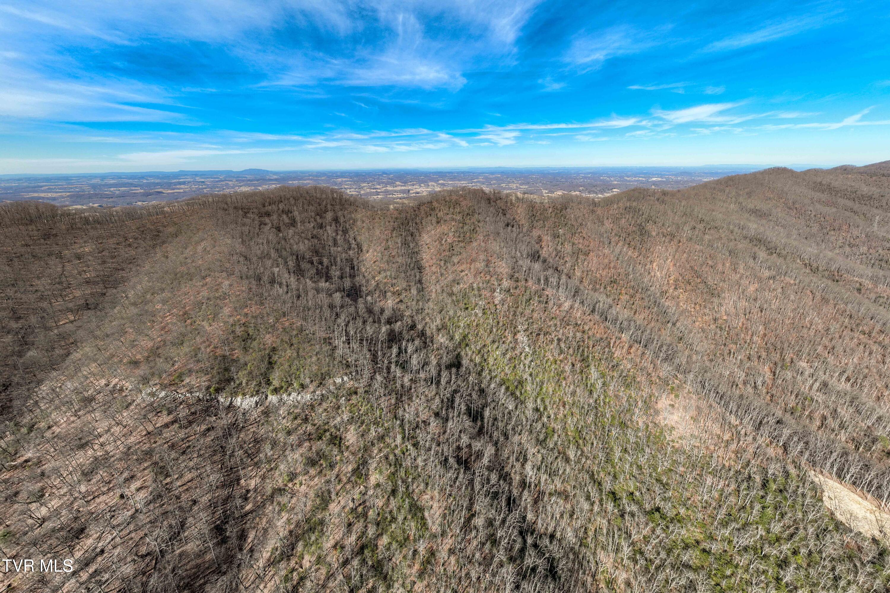 Tbd Buchanan Road Jonesborough, TN 37659 - Photo 16 of 28 TBD Buchanan Rd (16 of 28)