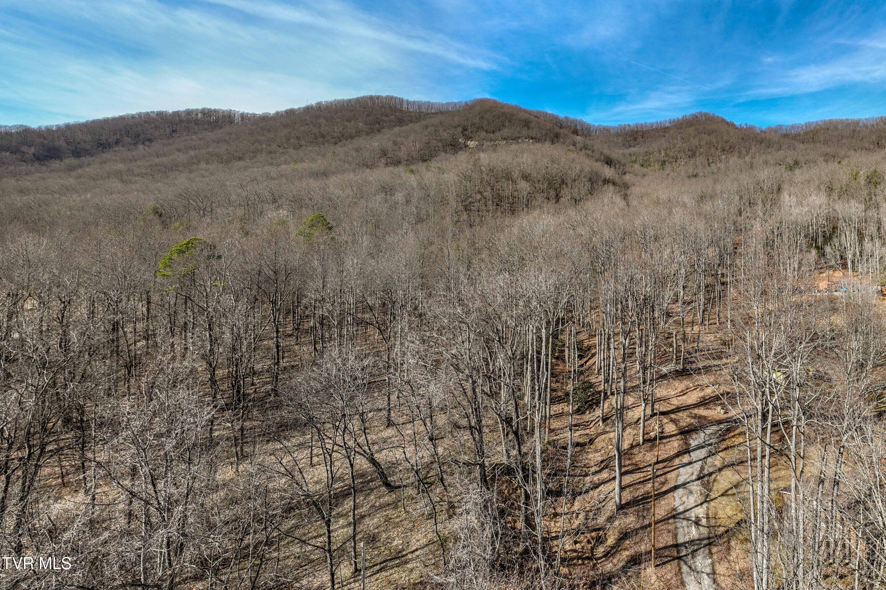 Tbd Buchanan Road Jonesborough, TN 37659 - Photo 18 of 28 TBD Buchanan Rd (18 of 28)