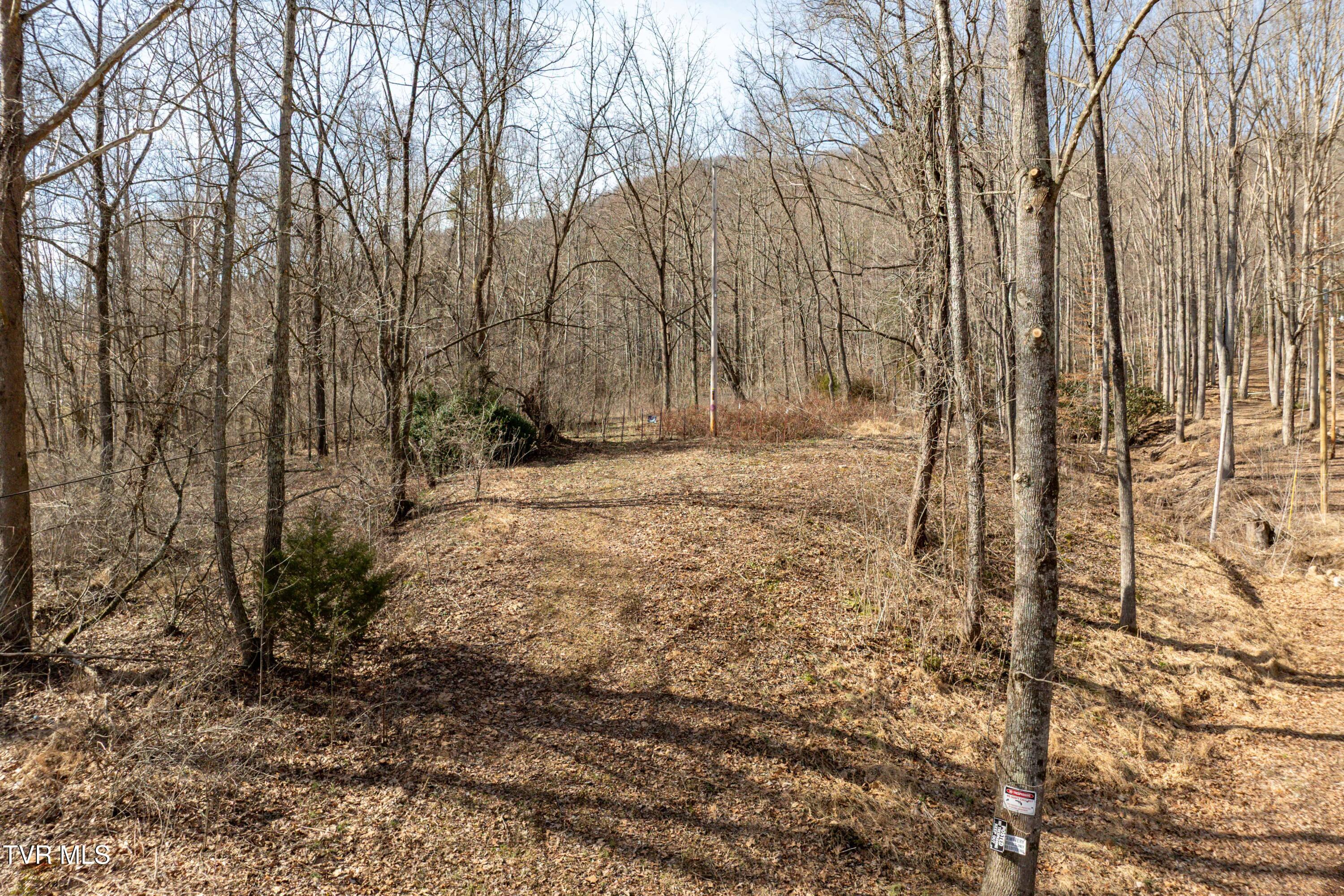 Tbd Buchanan Road Jonesborough, TN 37659 - Photo 19 of 28 TBD Buchanan Rd (19 of 28)