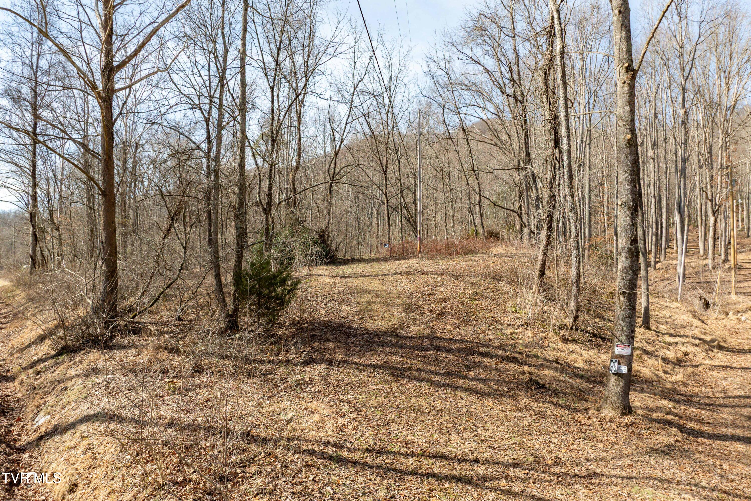 Tbd Buchanan Road Jonesborough, TN 37659 - Photo 20 of 28 TBD Buchanan Rd (20 of 28)