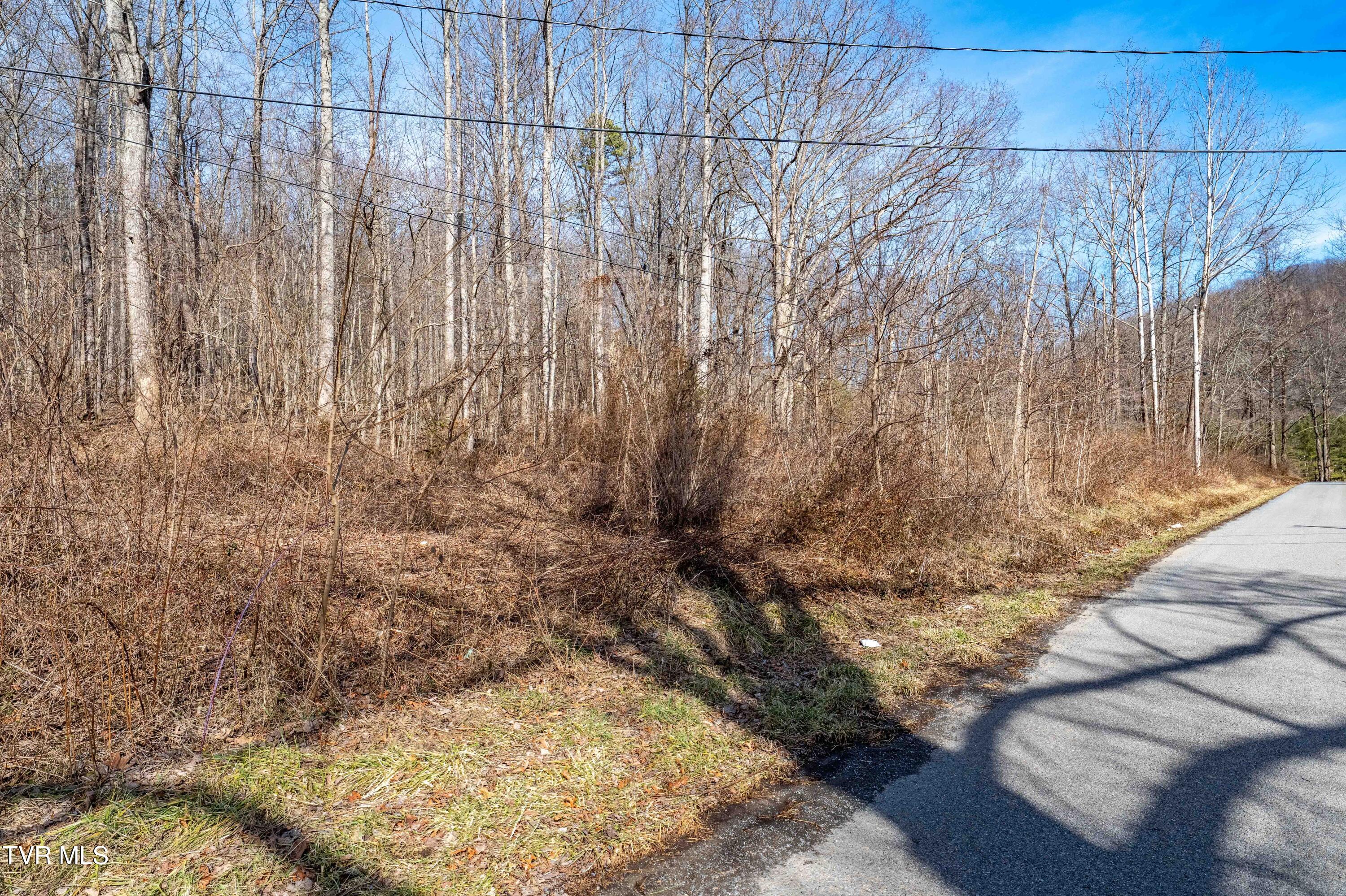 Tbd Buchanan Road Jonesborough, TN 37659 - Photo 21 of 28 TBD Buchanan Rd (21 of 28)