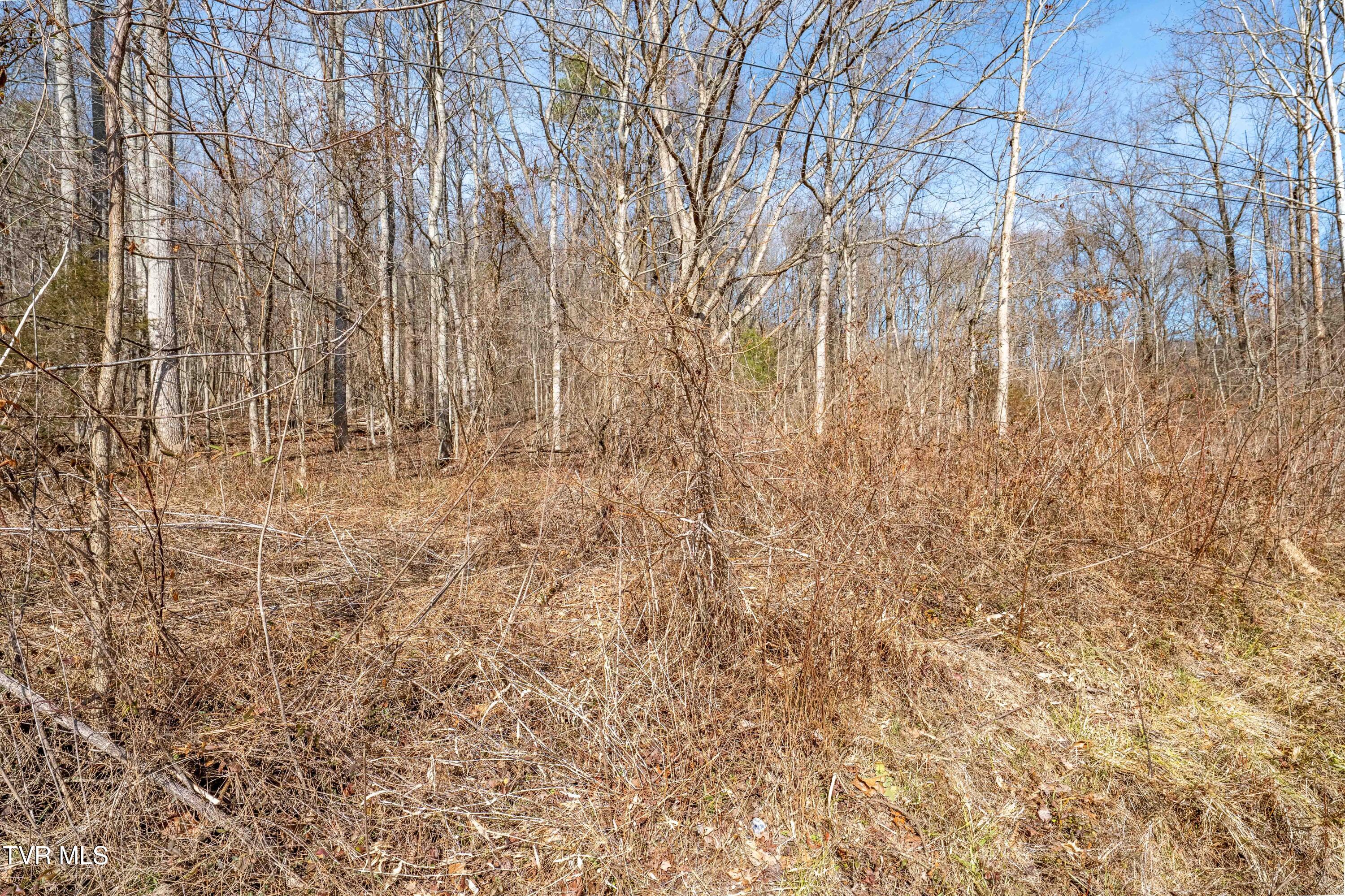 Tbd Buchanan Road Jonesborough, TN 37659 - Photo 22 of 28 TBD Buchanan Rd (22 of 28)