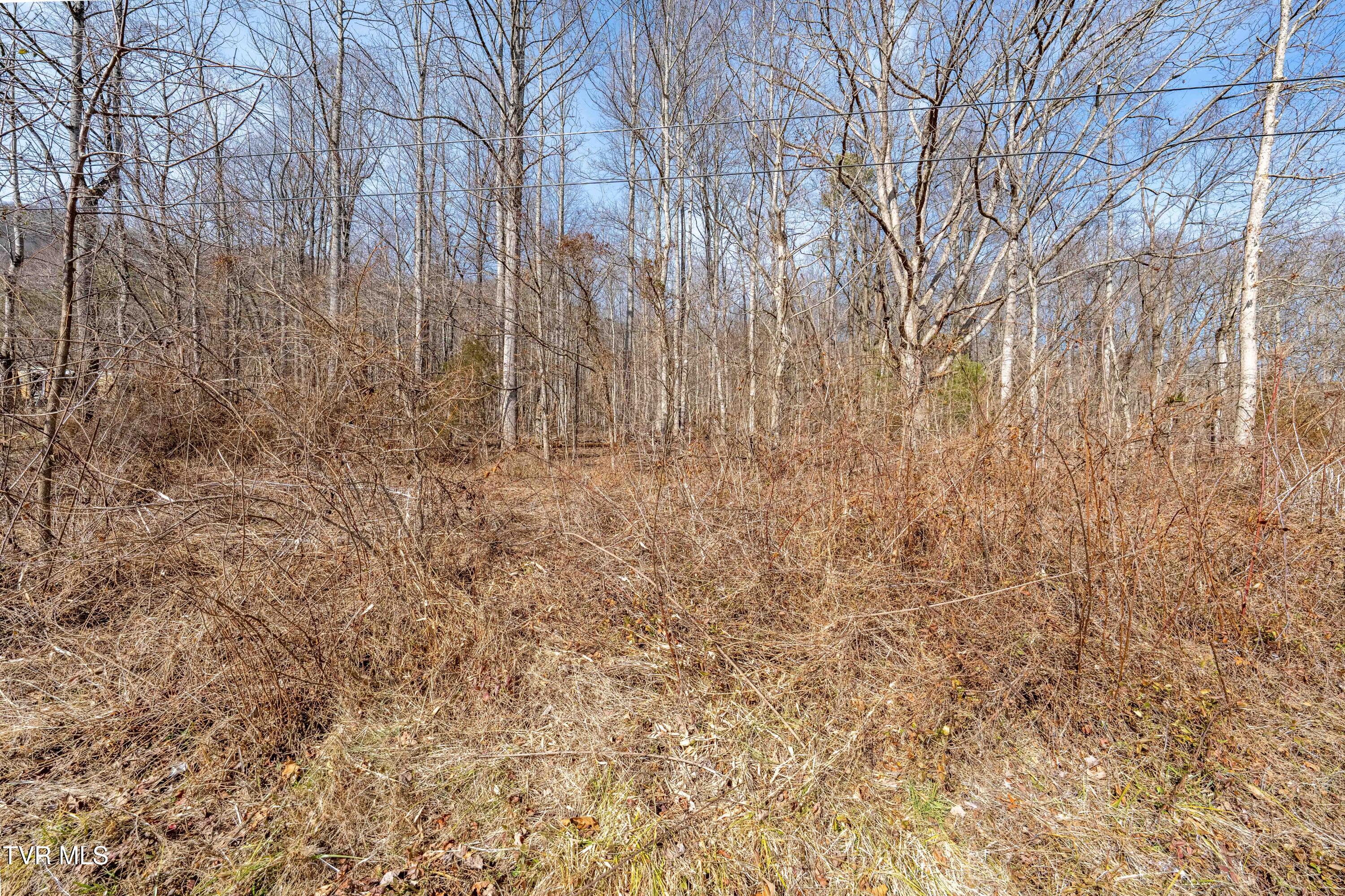 Tbd Buchanan Road Jonesborough, TN 37659 - Photo 23 of 28 TBD Buchanan Rd (23 of 28)