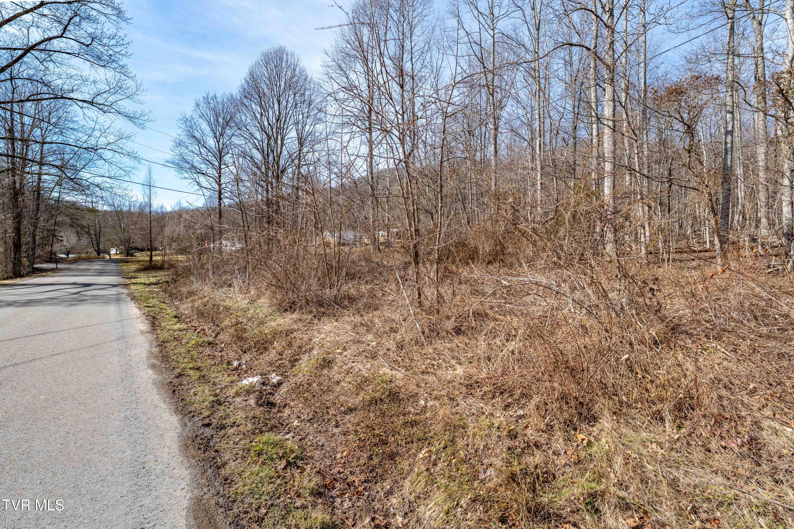 Tbd Buchanan Road Jonesborough, TN 37659 - Photo 24 of 28 TBD Buchanan Rd (24 of 28)