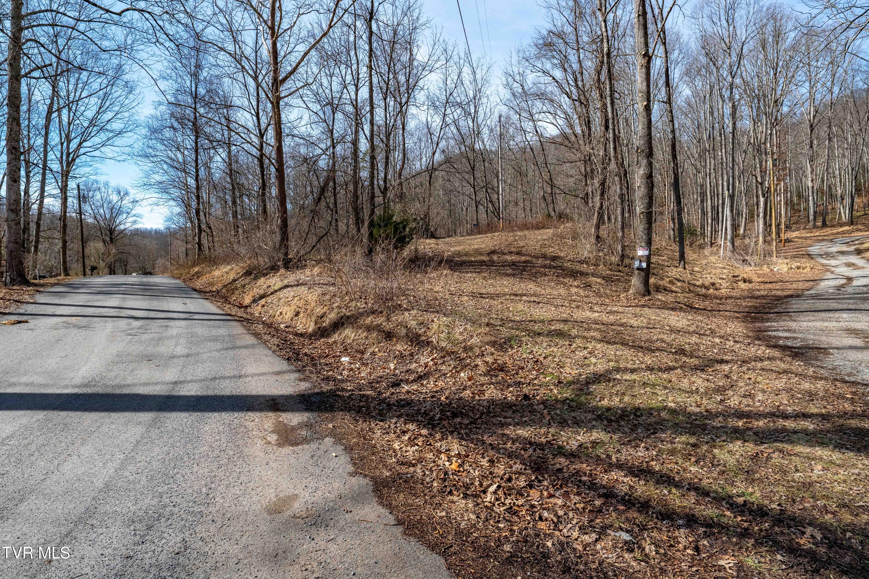 Tbd Buchanan Road Jonesborough, TN 37659 - Photo 25 of 28 TBD Buchanan Rd (25 of 28)