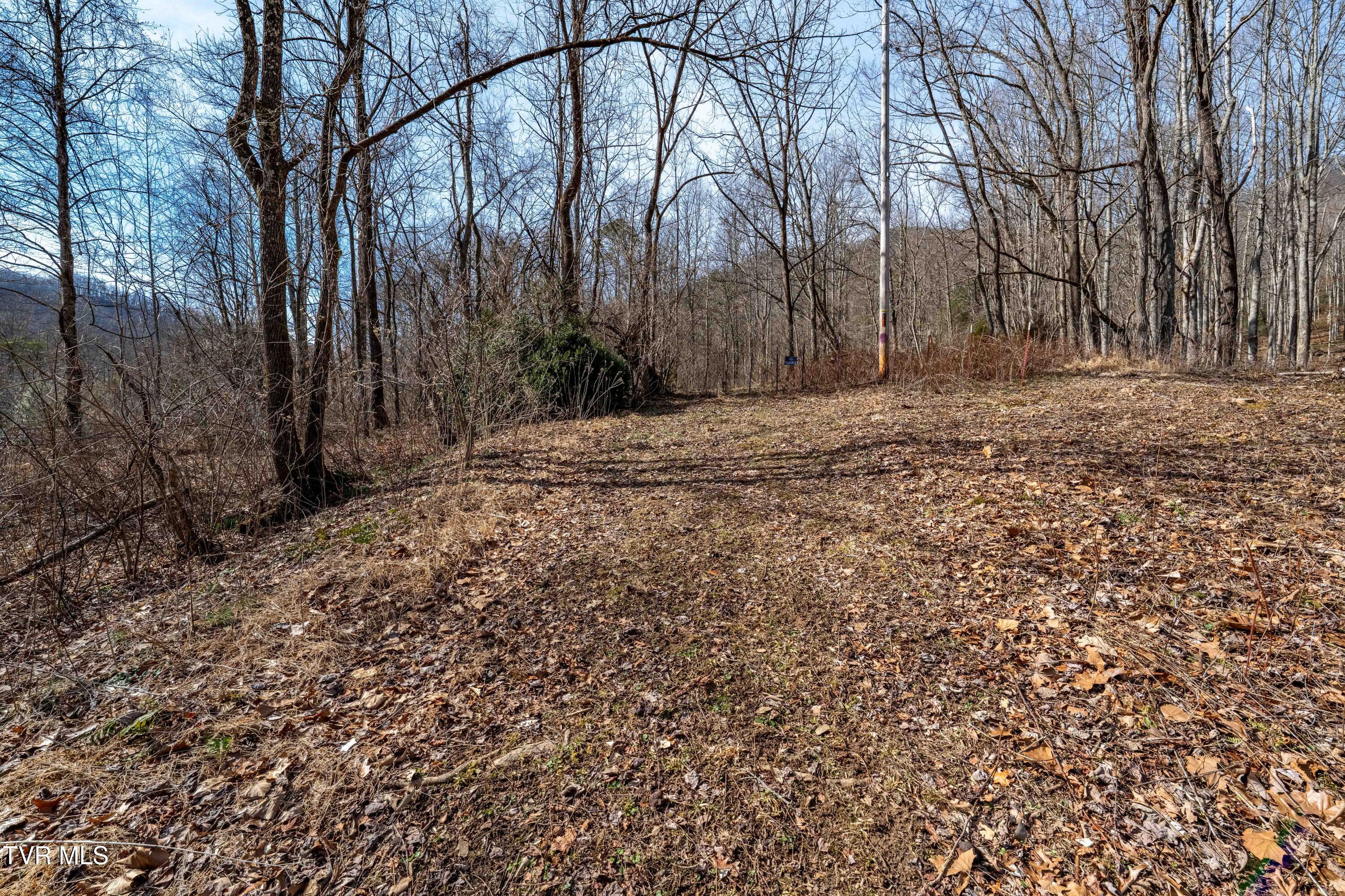 Tbd Buchanan Road Jonesborough, TN 37659 - Photo 26 of 28 TBD Buchanan Rd (26 of 28)