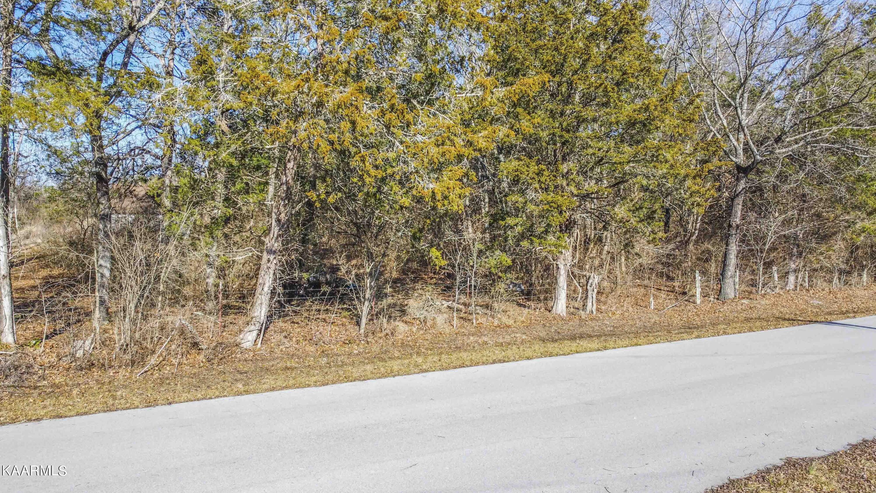 7716 Quarry Road Knoxville, TN 37938 - Photo 1 of 14 GROUND