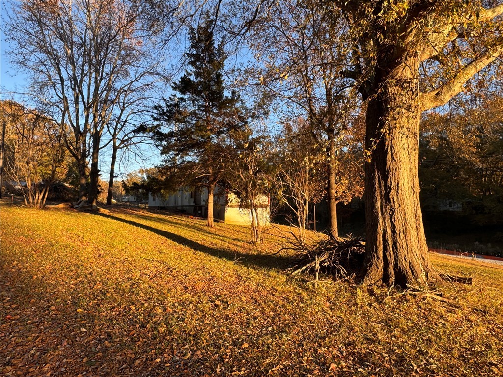 208 Hedge Street Central, SC 29630 - Photo 4 of 5