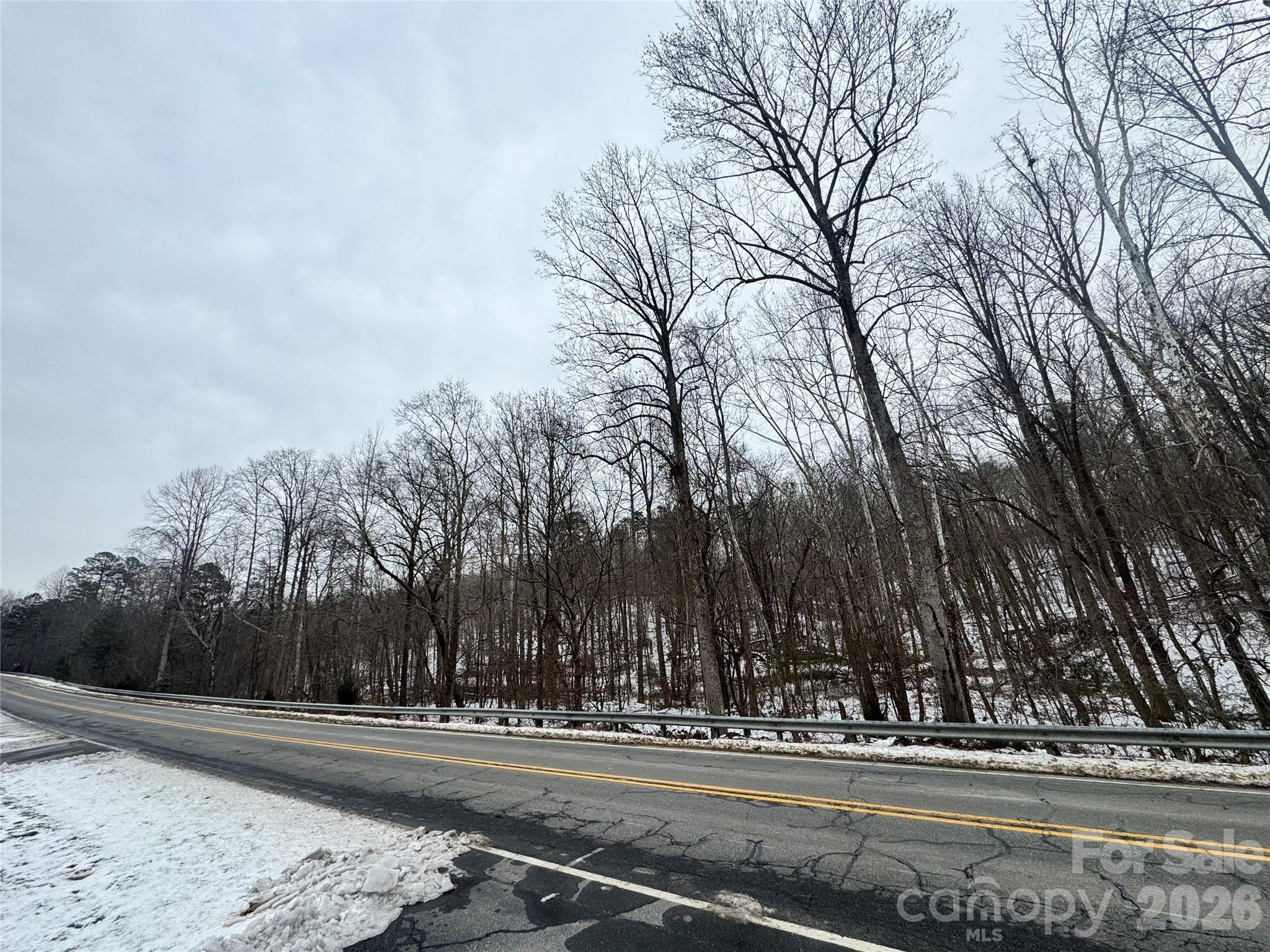 0 College Avenue Rutherfordton, NC 28139 - Photo 2 of 3 a view of a yard and tree s
