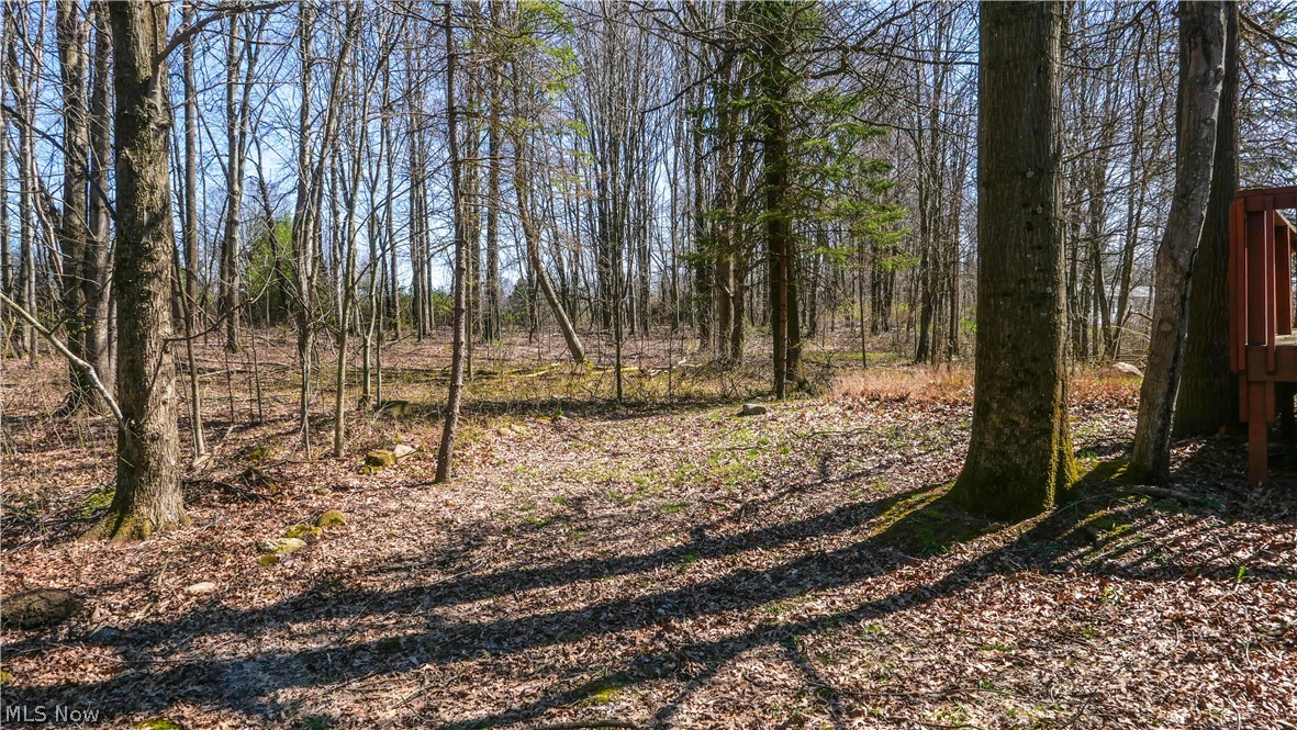 3450 Biltz Road Kent, OH 44240 - Photo 25 of 28