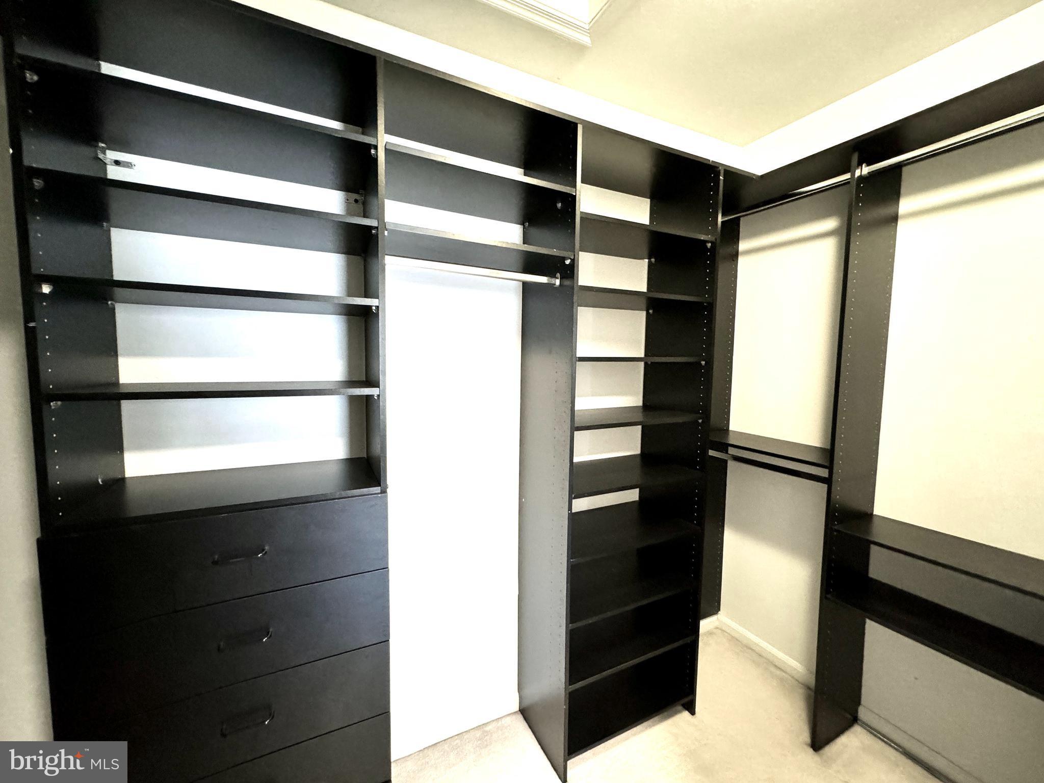 1447 Hampton Hill Circle McLean, VA 22101 - Photo 28 of 46 a view of walk in closet with empty racks