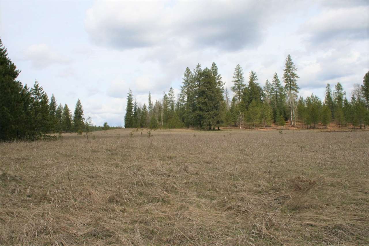 0 Stephenson Road Clayton, WA 99110 - Photo 2 of 20