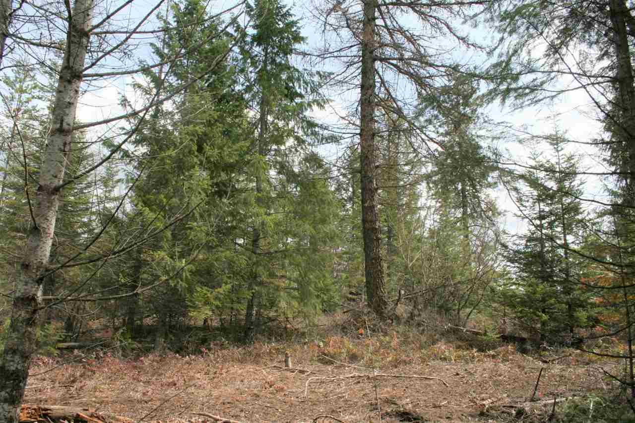 0 Stephenson Road Clayton, WA 99110 - Photo 11 of 20
