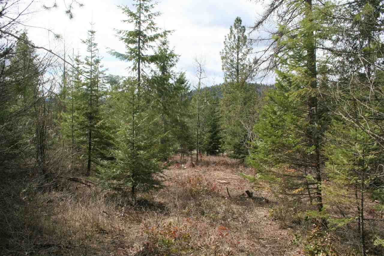 0 Stephenson Road Clayton, WA 99110 - Photo 12 of 20