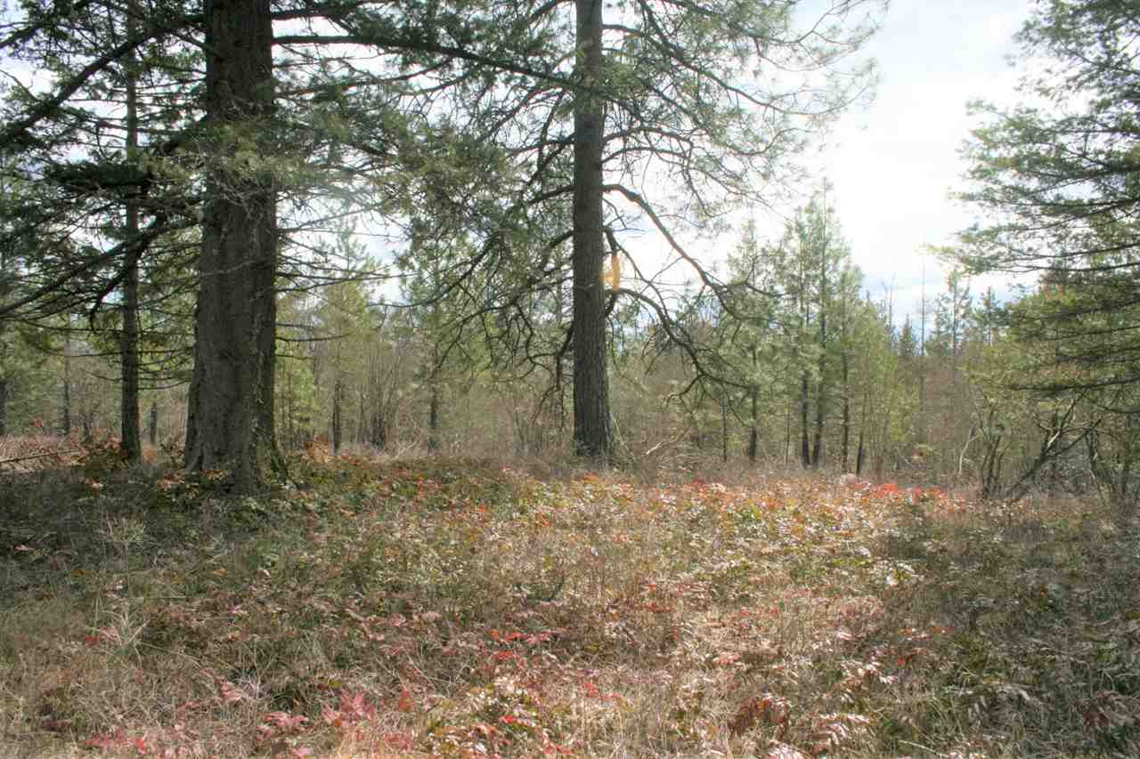 0 Stephenson Road Clayton, WA 99110 - Photo 13 of 20