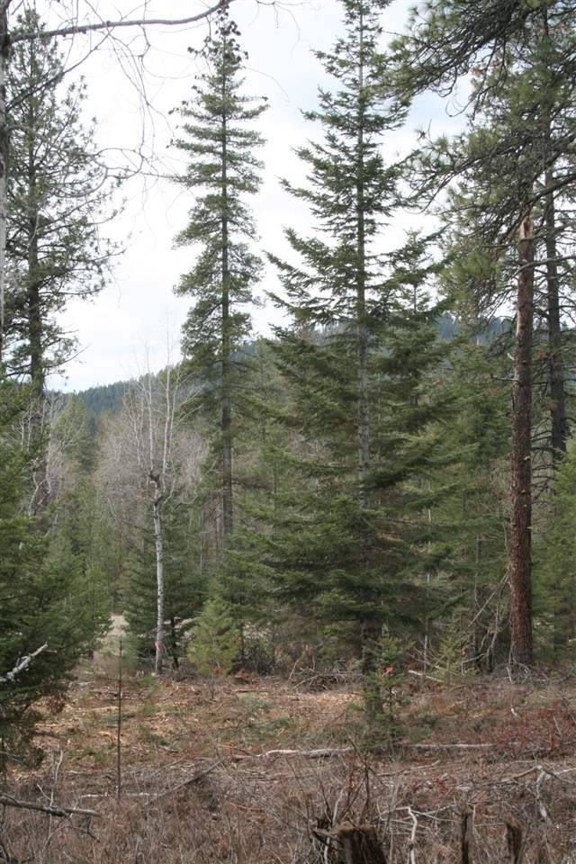0 Stephenson Road Clayton, WA 99110 - Photo 16 of 20