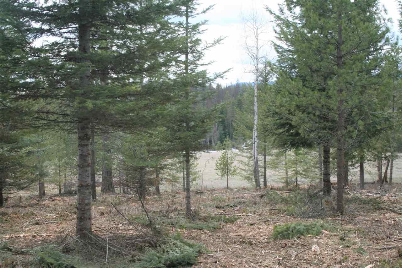 0 Stephenson Road Clayton, WA 99110 - Photo 17 of 20