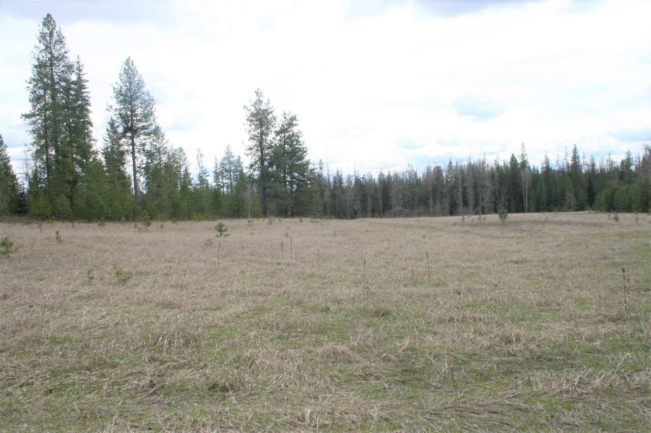 0 Stephenson Road Clayton, WA 99110 - Photo 18 of 20