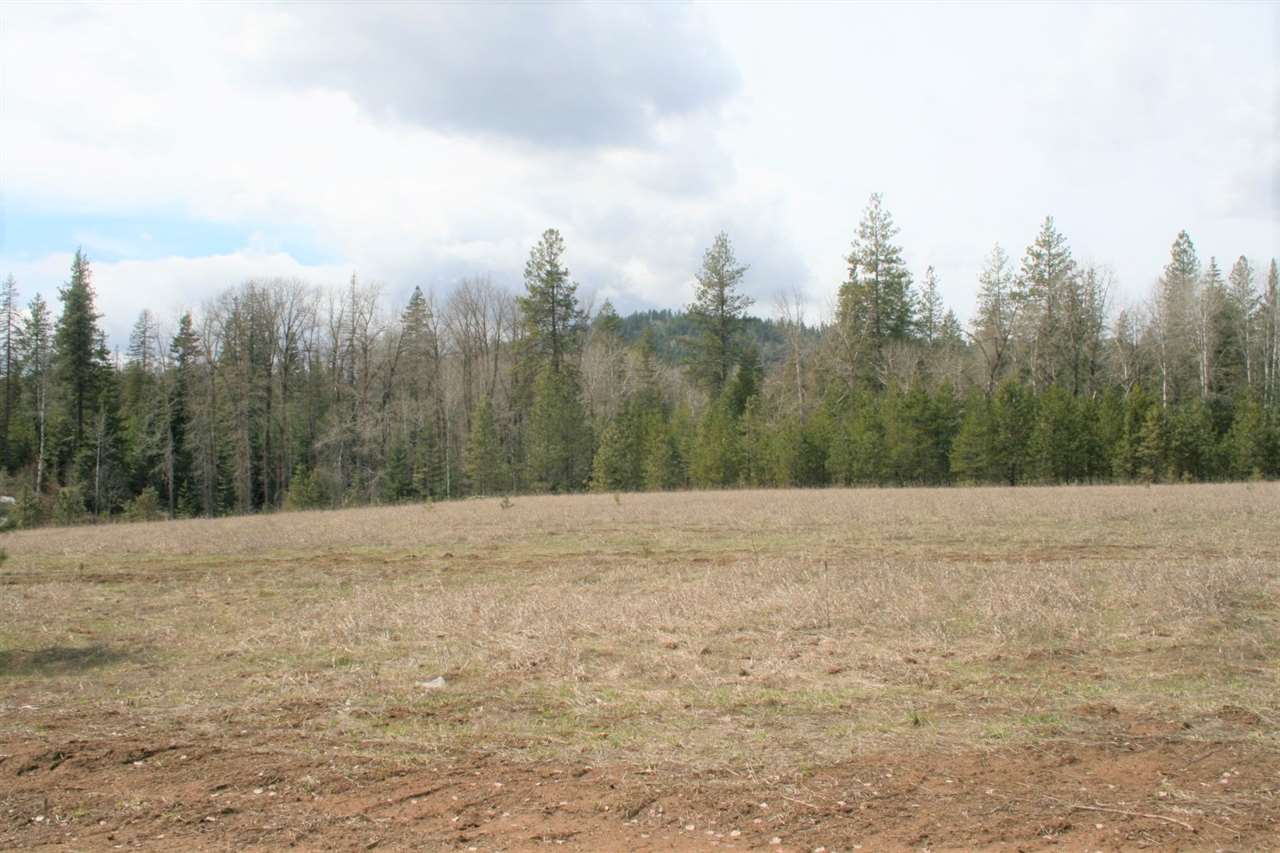 0 Stephenson Road Clayton, WA 99110 - Photo 8 of 20