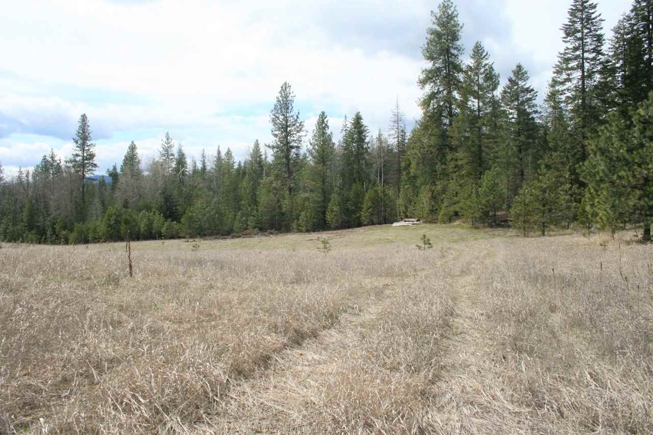 0 Stephenson Road Clayton, WA 99110 - Photo 9 of 20