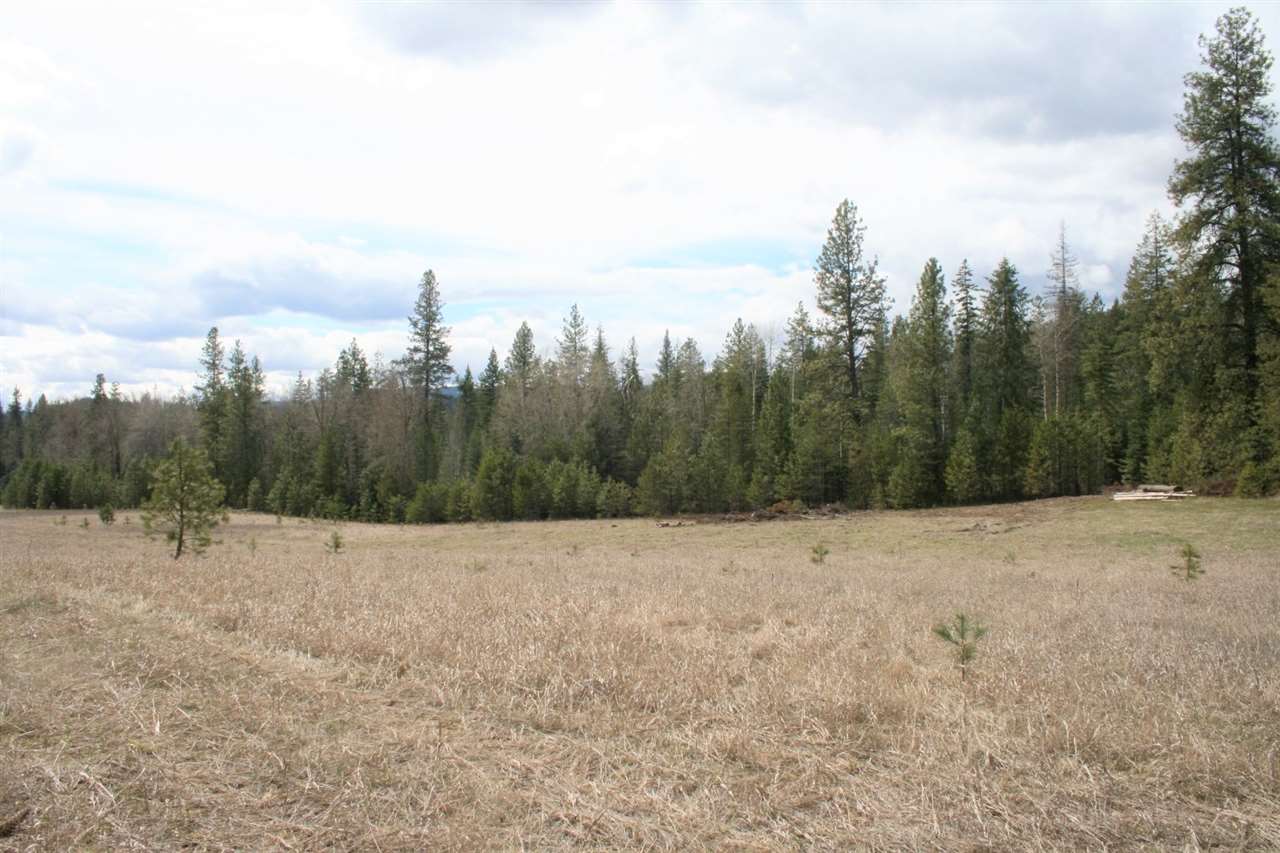 0 Stephenson Road Clayton, WA 99110 - Photo 10 of 20