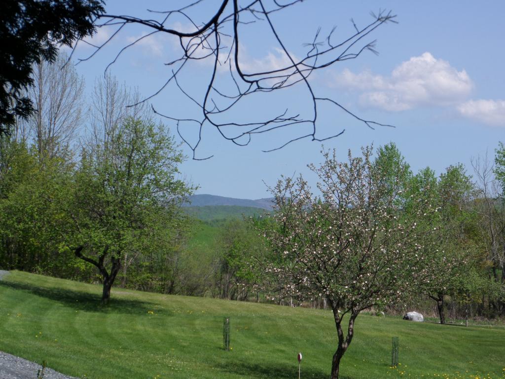 503 Limlaw Road Corinth, VT 05039 - Photo 2 of 10
