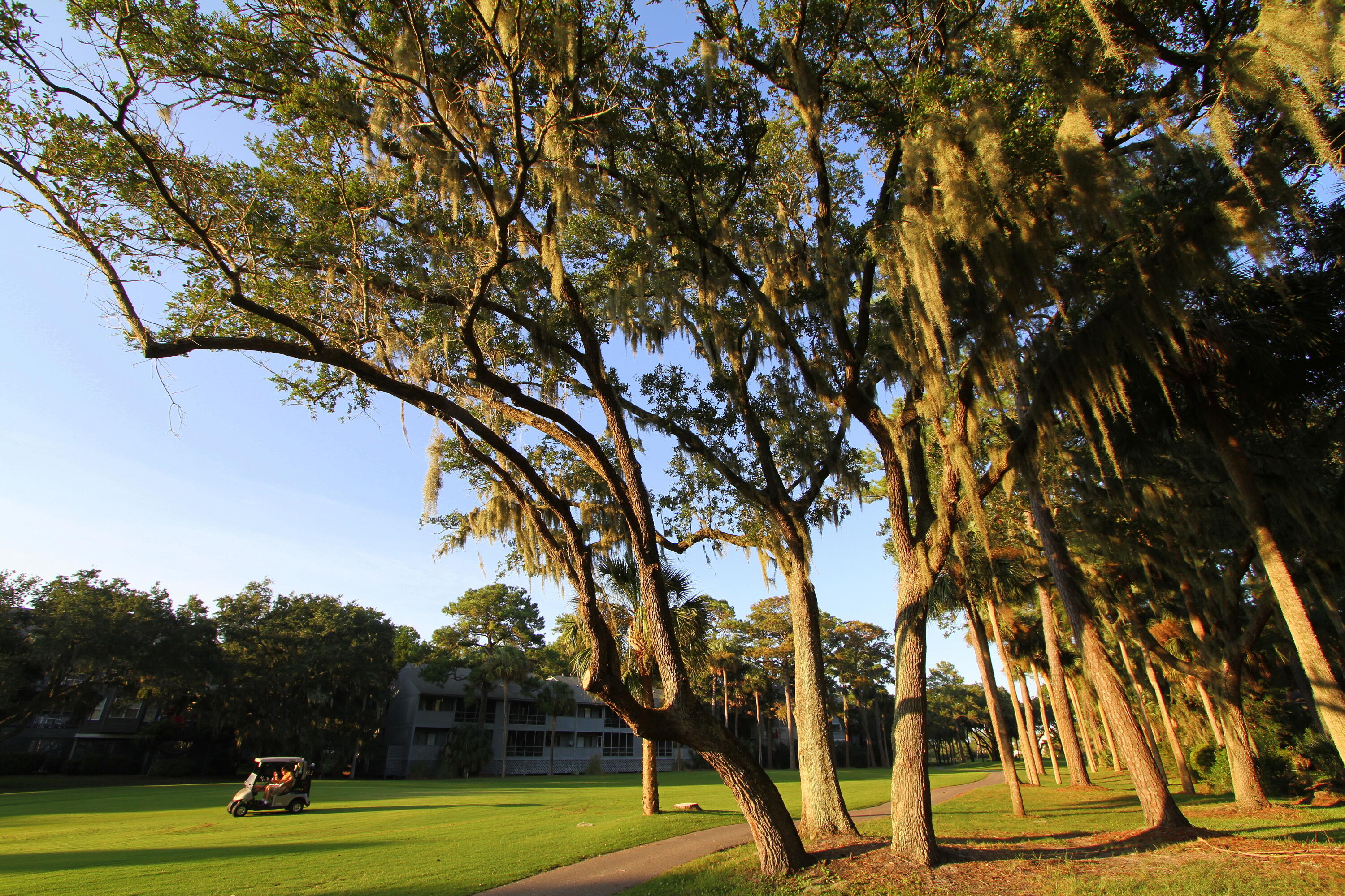 7 Battery Park Road Edisto Island, SC 29438 - Photo 16 of 32 IMG_0804
