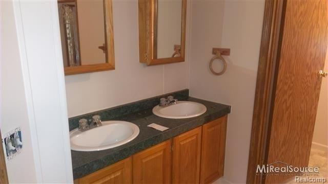 10180 Meskill Road Columbus, MI 48063 - Photo 14 of 19 Double sinks!