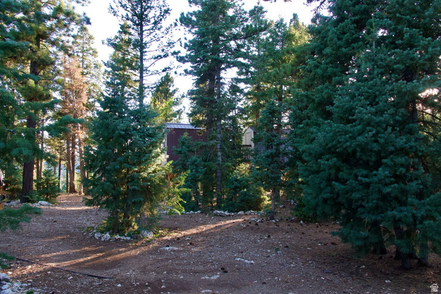 140 East Rim Road Duck Creek Village, UT 84762 - Photo 28 of 45 View of yard