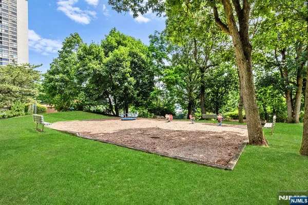 a view of a yard with a tree