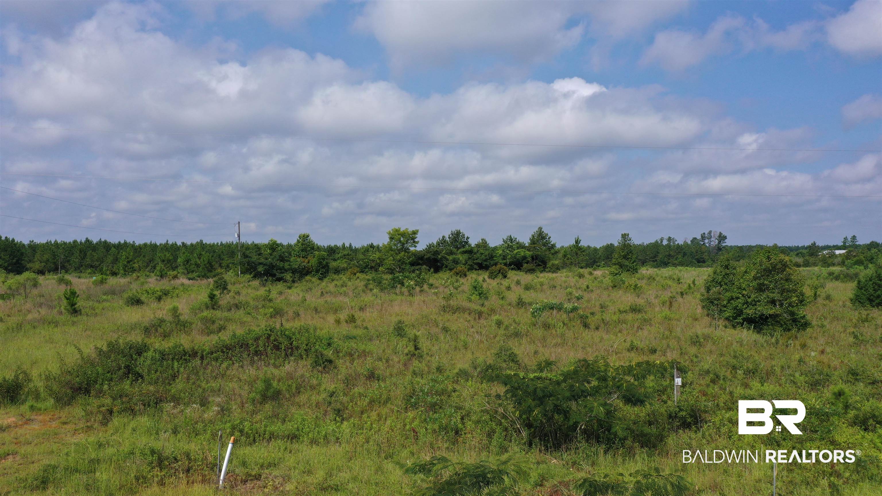 0 Highway 113 Flomaton, AL 36441 - Photo 20 of 24 View of landscape